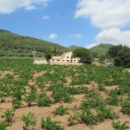 Casa Rural Cal Marti El Pla de Manlleu Bagian luar foto
