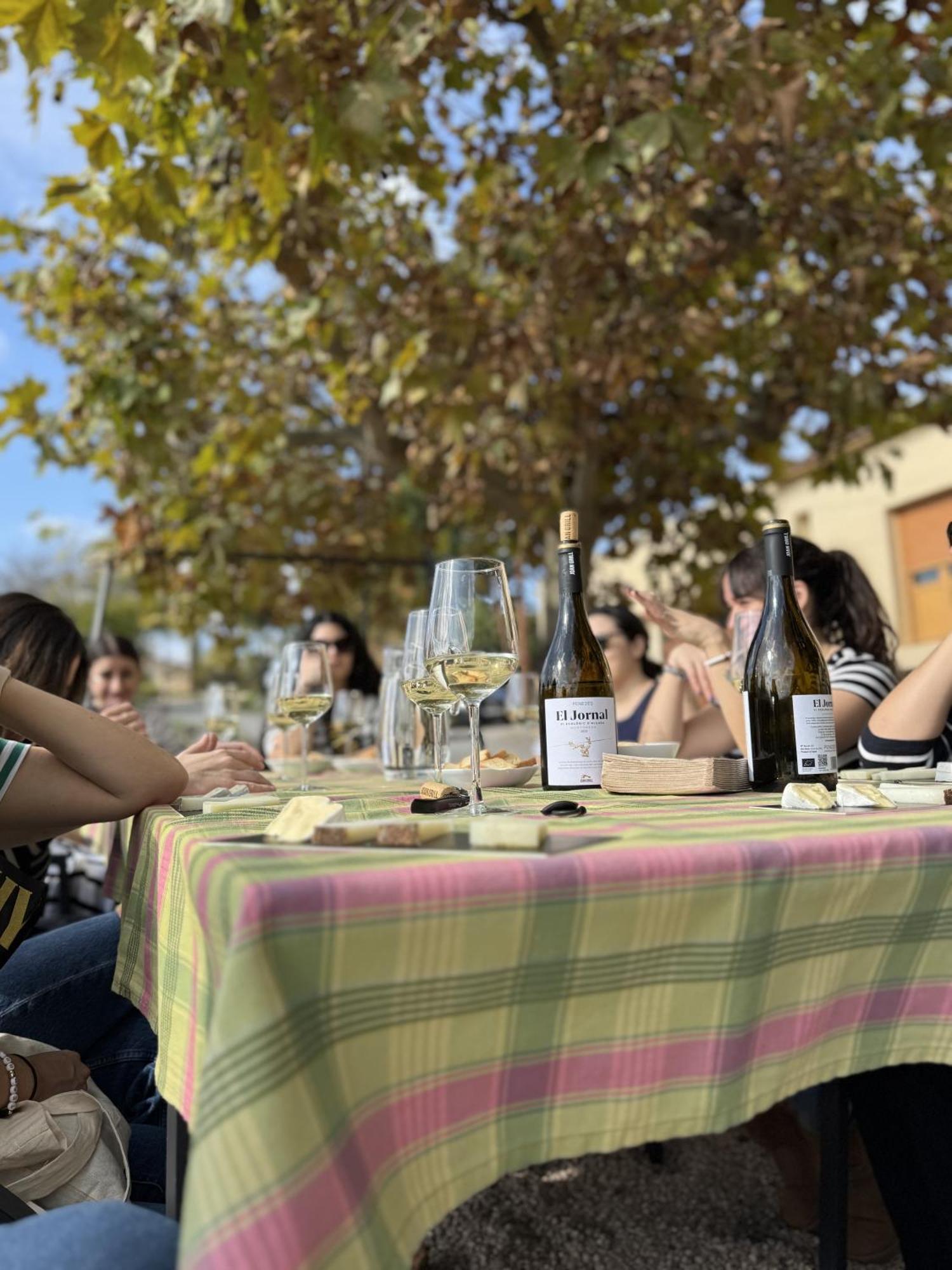 Casa Rural Cal Marti El Pla de Manlleu Bagian luar foto